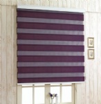 Blackout Zebra Blind