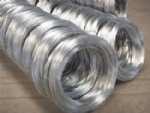 Welded Wire Mesh